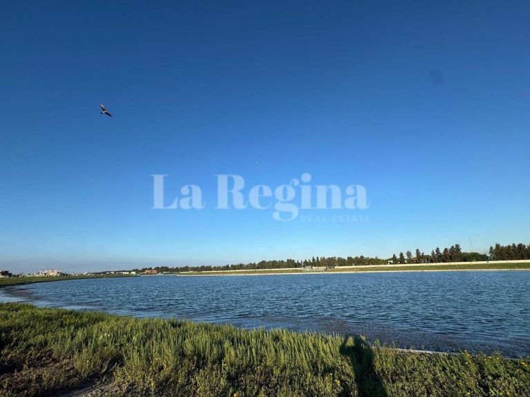 Terreno en venta en Silvestre_image